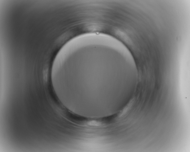 X0000088710163200706212009