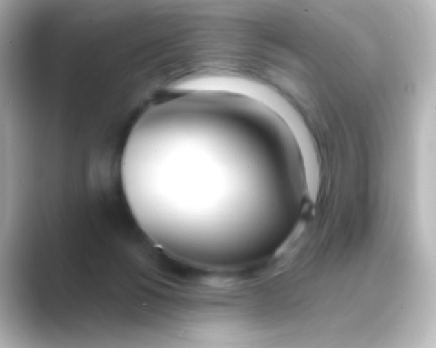 X0000088710168200706212009