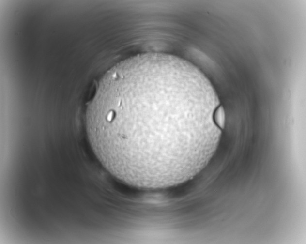 X0000088710169200706212009