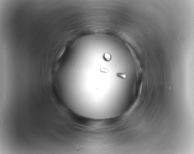 X0000088710170200706212009