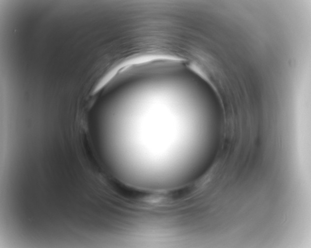 X0000088710172200706212009