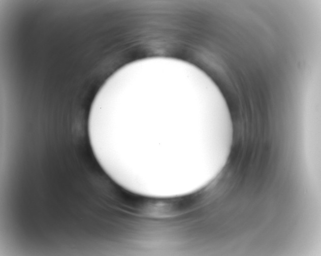 X0000088710174200706212009