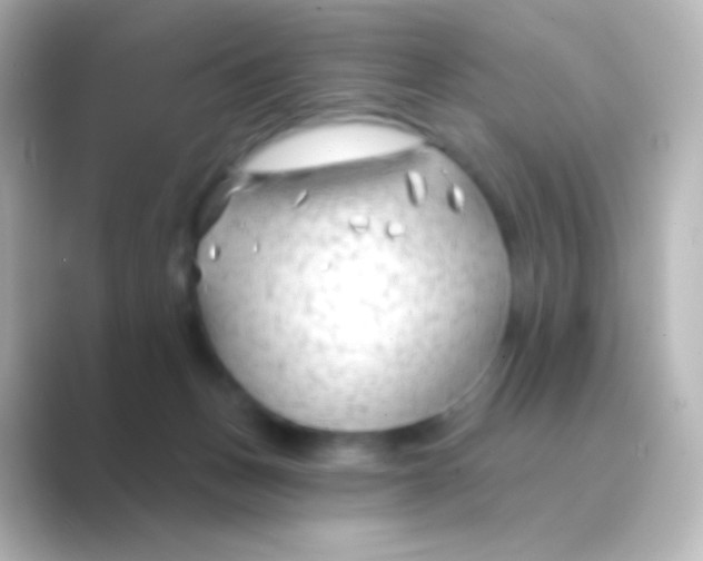 X0000088710175200706212009