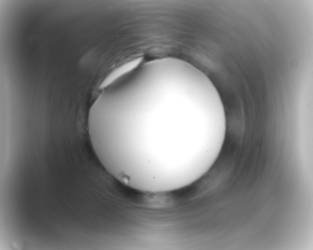 X0000088710181200706212009