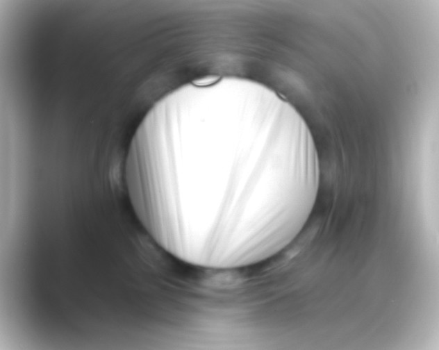 X0000088710185200706212009