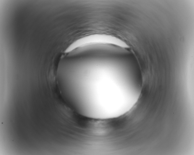 X0000088710186200706212009