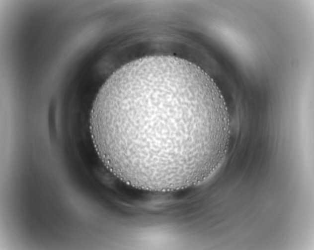 X0000088710191200706212009