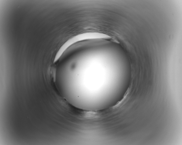 X0000088710192200706212009