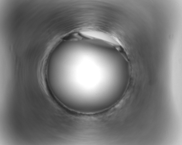 X0000088710193200706212009