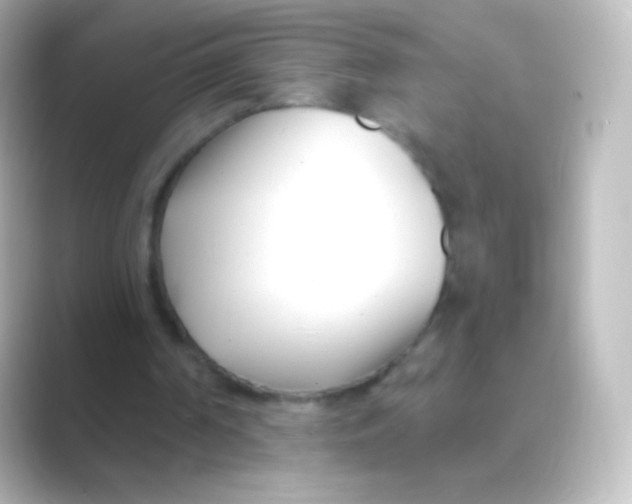 X0000088710194200706212009