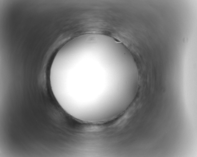 X0000088710198200706212009