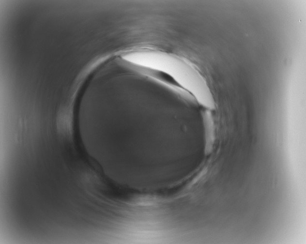 X0000088710200200706212009