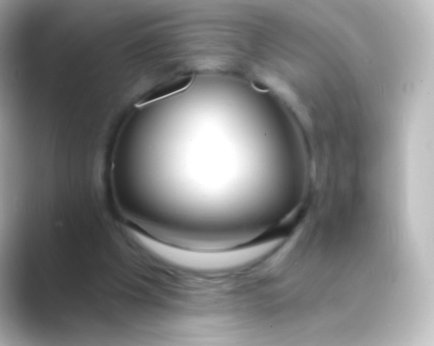 X0000088710201200706212009