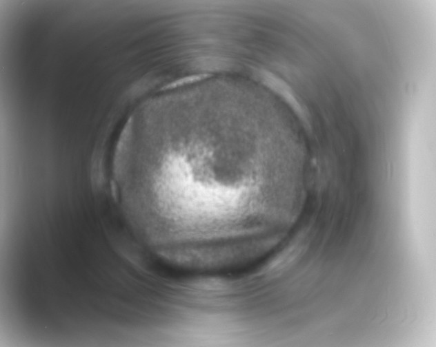 X0000088710203200706212009