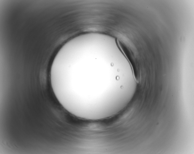 X0000088710204200706212009