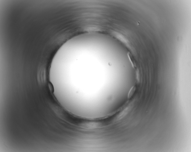 X0000088710205200706212009