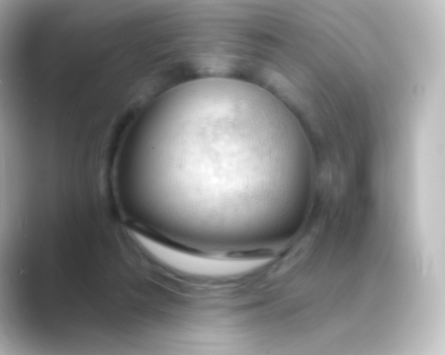 X0000088710209200706212009