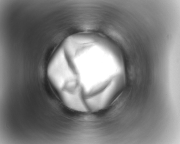 X0000088710210200706212008