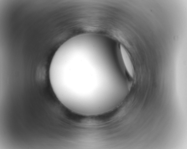 X0000088710211200706212008