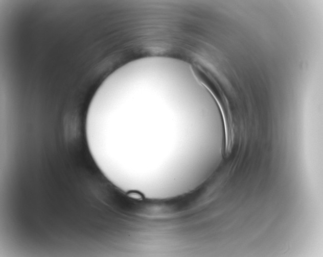 X0000088710212200706212008