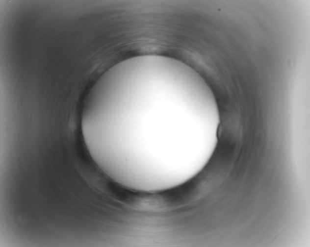 X0000088710215200706212008