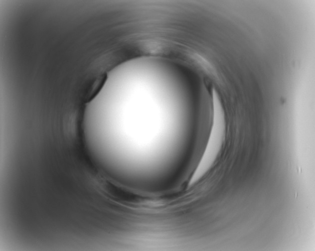 X0000088710217200706212008