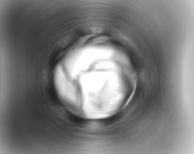 X0000088710218200706212008