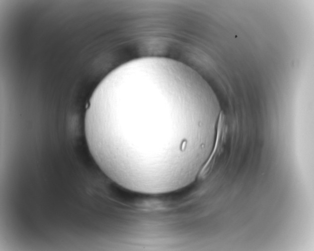 X0000088710224200706212008