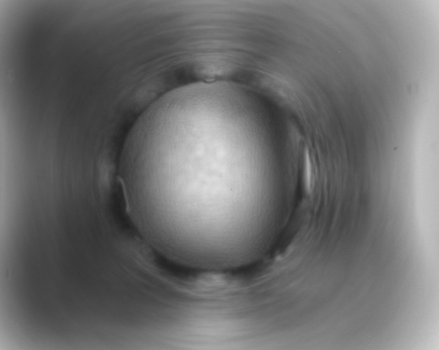 X0000088710227200706212008