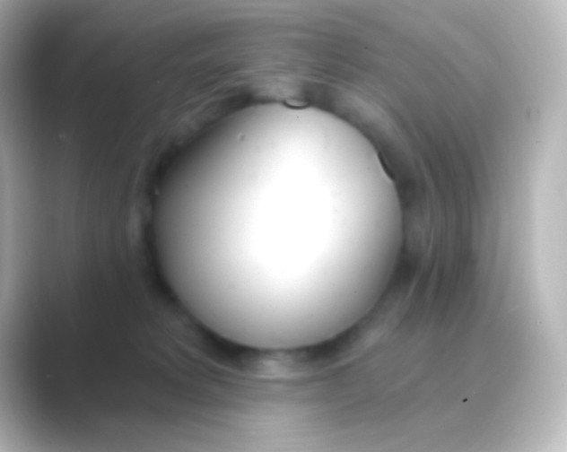 X0000088710229200706212008