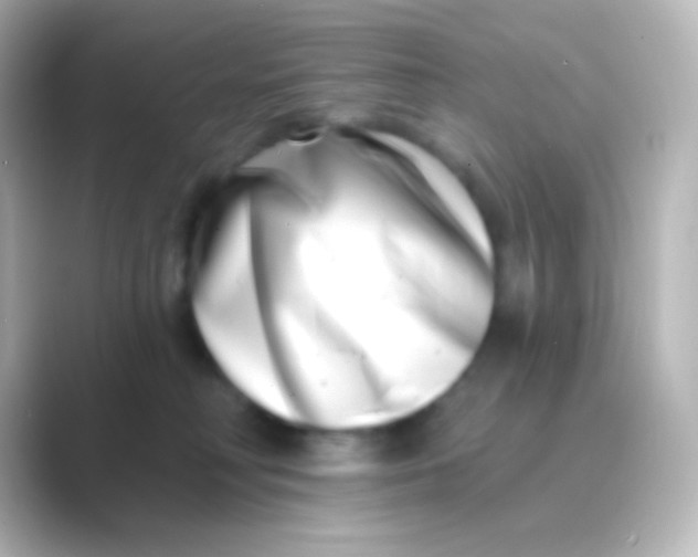 X0000088710230200706212008