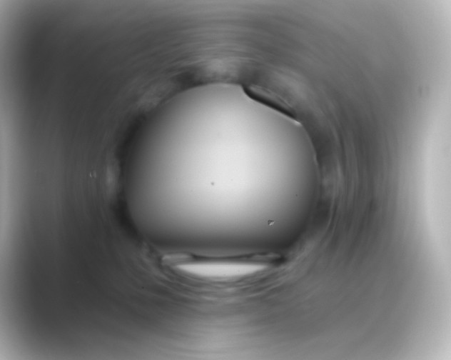 X0000088710231200706212008