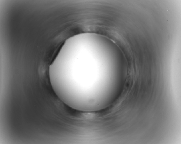 X0000088710233200706212008