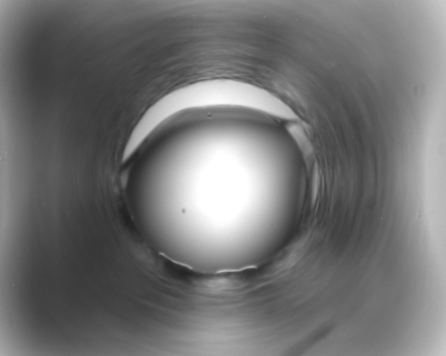 X0000088710237200706212008