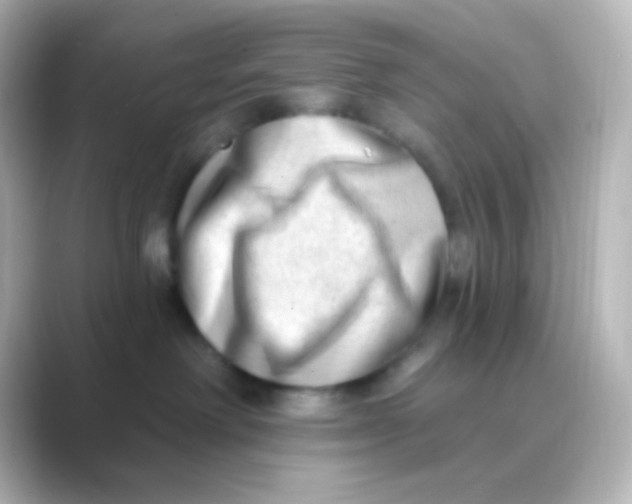 X0000088710238200706212008