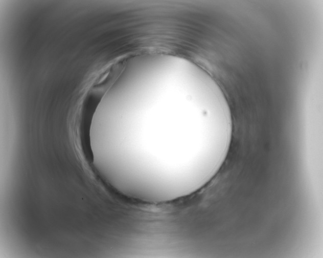 X0000088710241200706212008