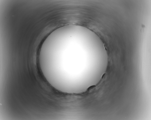 X0000088710242200706212008