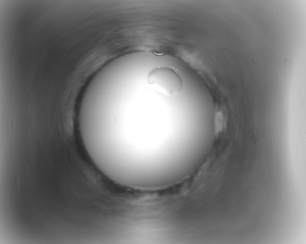 X0000088710243200706212008