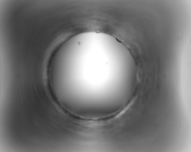 X0000088710245200706212008