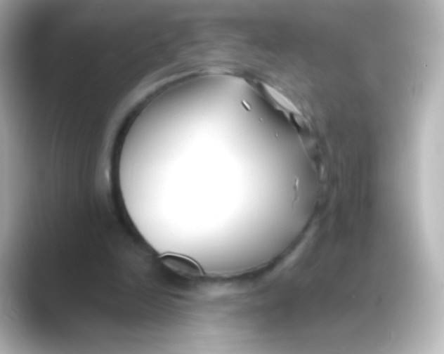 X0000088710246200706212008