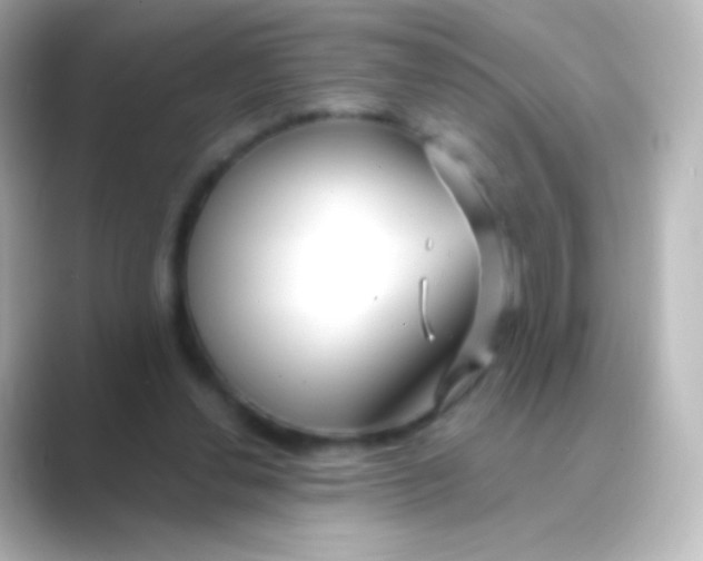 X0000088710252200706212008