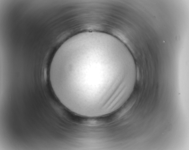 X0000088710253200706212008