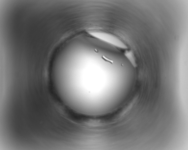 X0000088710256200706212008