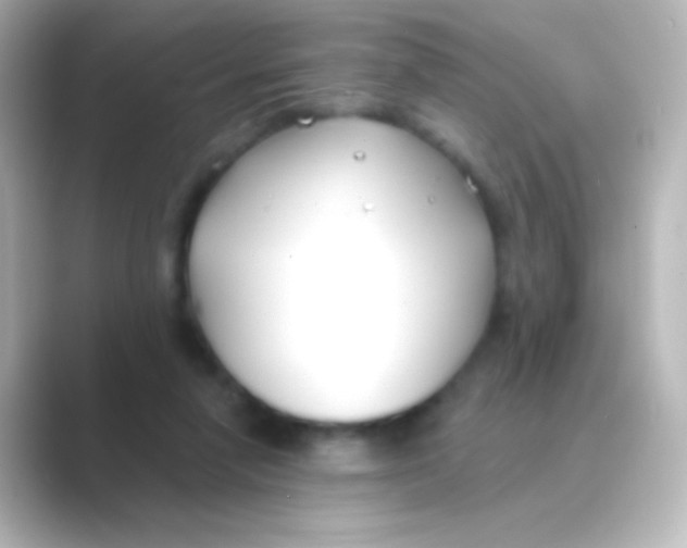 X0000088710258200706212008