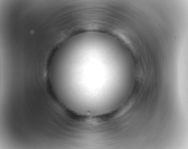 X0000088710261200706212008