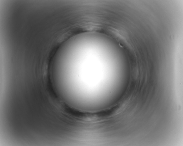 X0000088710263200706212008