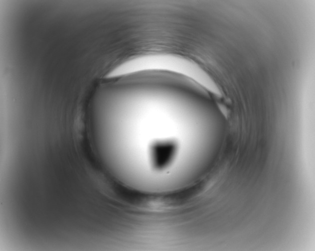 X0000088710264200706212008