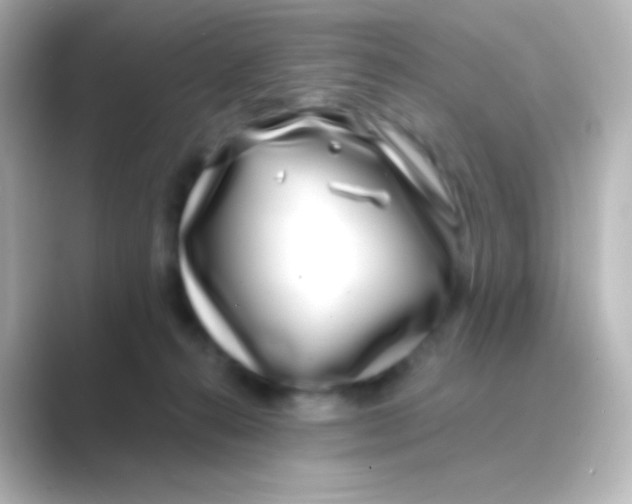 X0000088710272200706212008