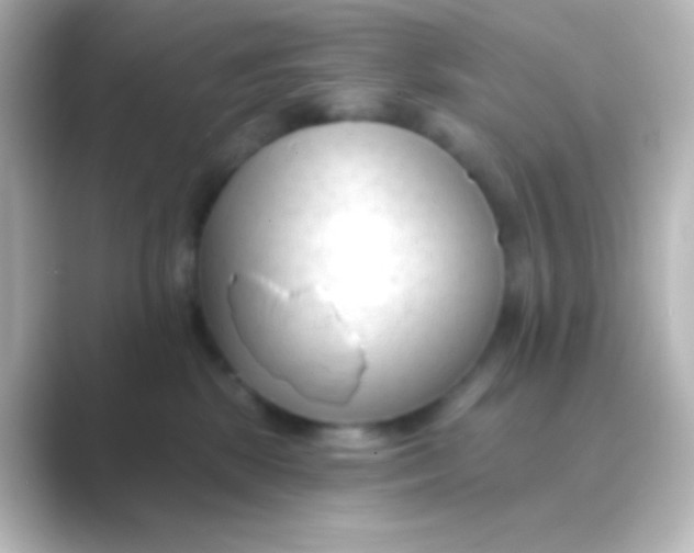 X0000088710281200706212008