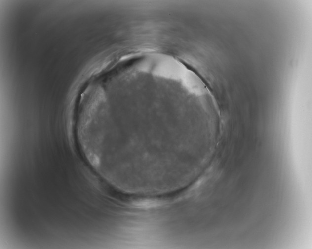 X0000088710293200706212008